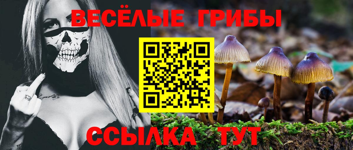 Бор  Галлюциногенные грибы мухоморы  Псилоцибиновые грибы Magic Shrooms  Вход с VPN 