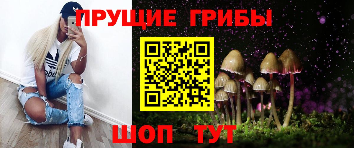Псилоцибиновые грибы мухоморы Бор